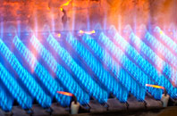Buckerell gas fired boilers